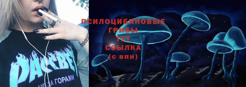 что такое наркотик  Артёмовск  Псилоцибиновые грибы Psilocybine cubensis 